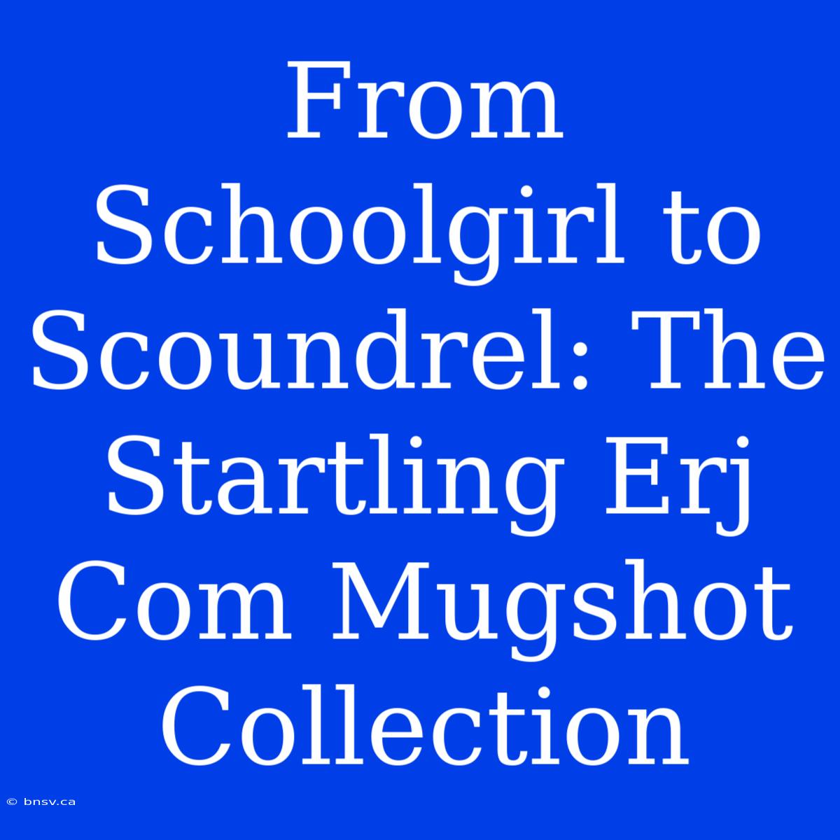 From Schoolgirl To Scoundrel: The Startling Erj Com Mugshot Collection