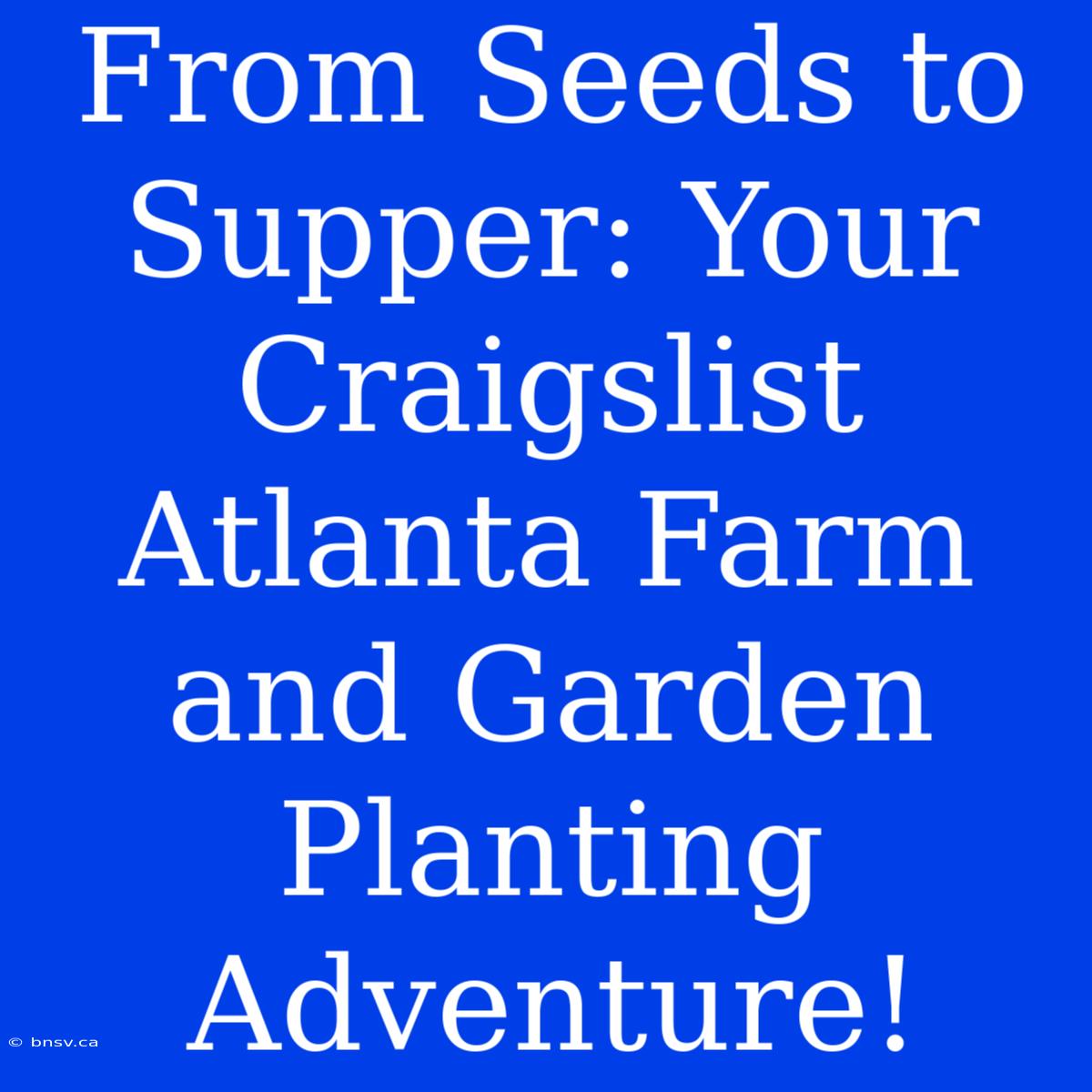 From Seeds To Supper: Your Craigslist Atlanta Farm And Garden Planting Adventure!