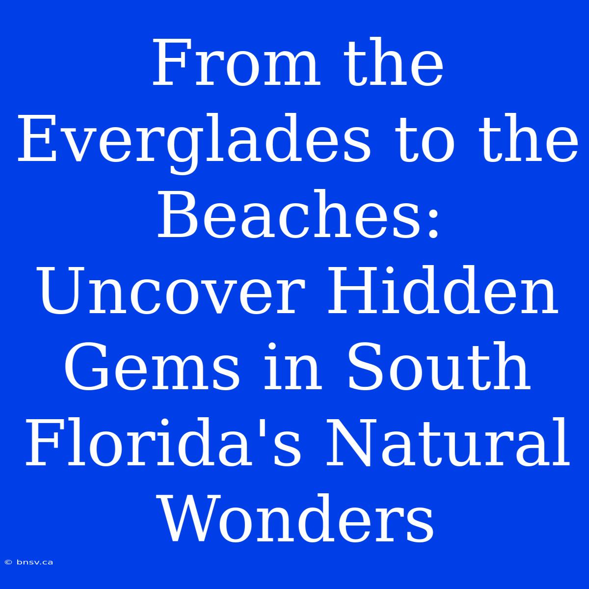 From The Everglades To The Beaches: Uncover Hidden Gems In South Florida's Natural Wonders