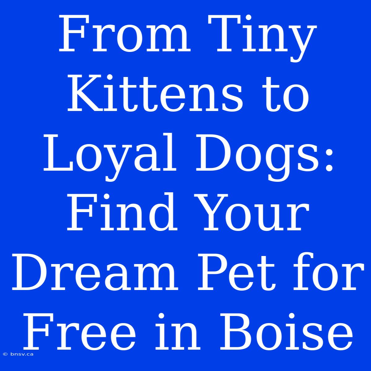 From Tiny Kittens To Loyal Dogs: Find Your Dream Pet For Free In Boise