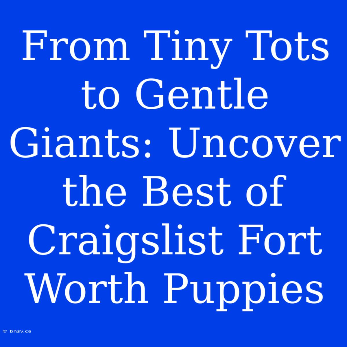 From Tiny Tots To Gentle Giants: Uncover The Best Of Craigslist Fort Worth Puppies