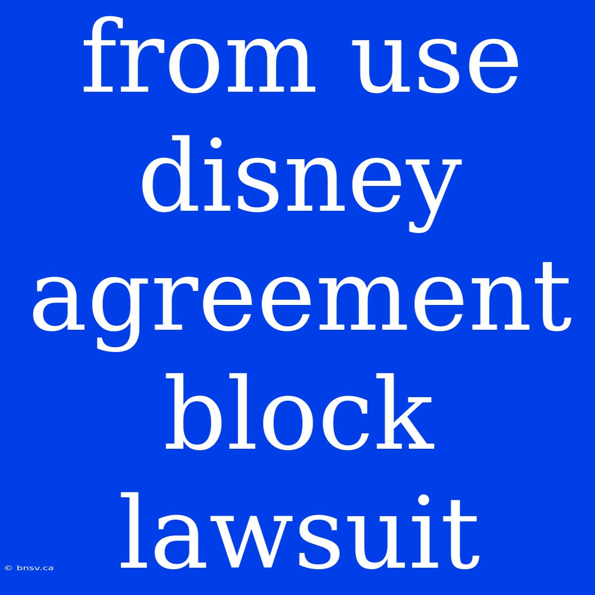 From Use Disney Agreement Block Lawsuit