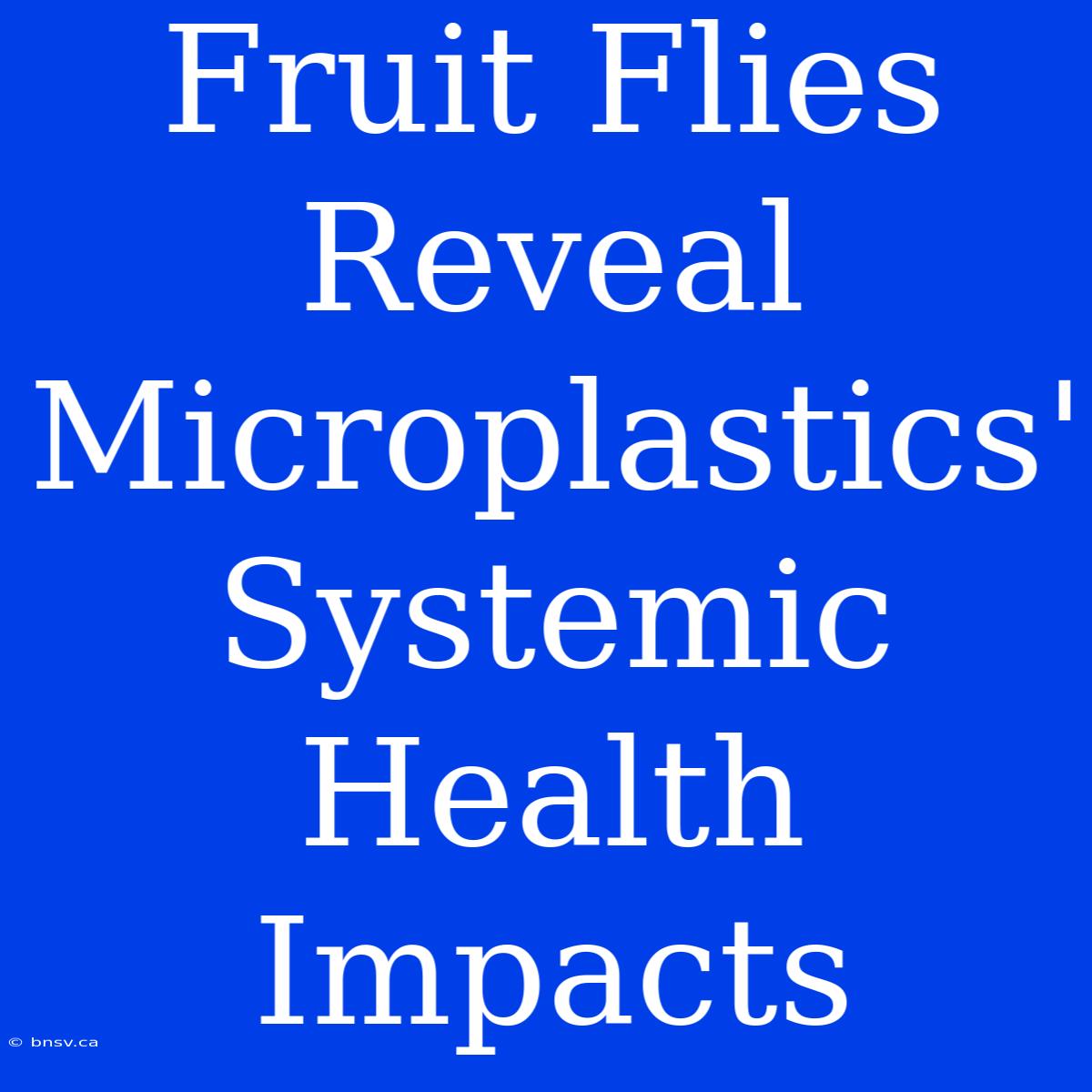 Fruit Flies Reveal Microplastics' Systemic Health Impacts