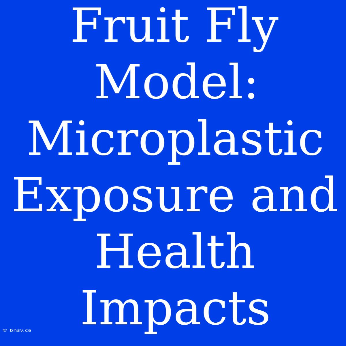 Fruit Fly Model: Microplastic Exposure And Health Impacts