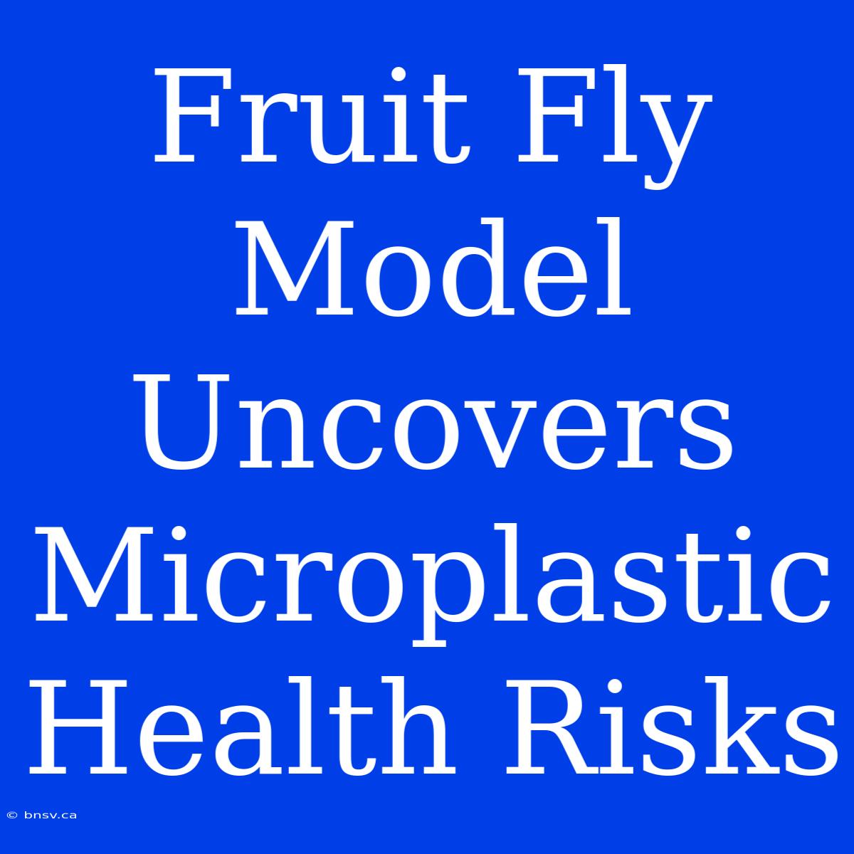 Fruit Fly Model Uncovers Microplastic Health Risks