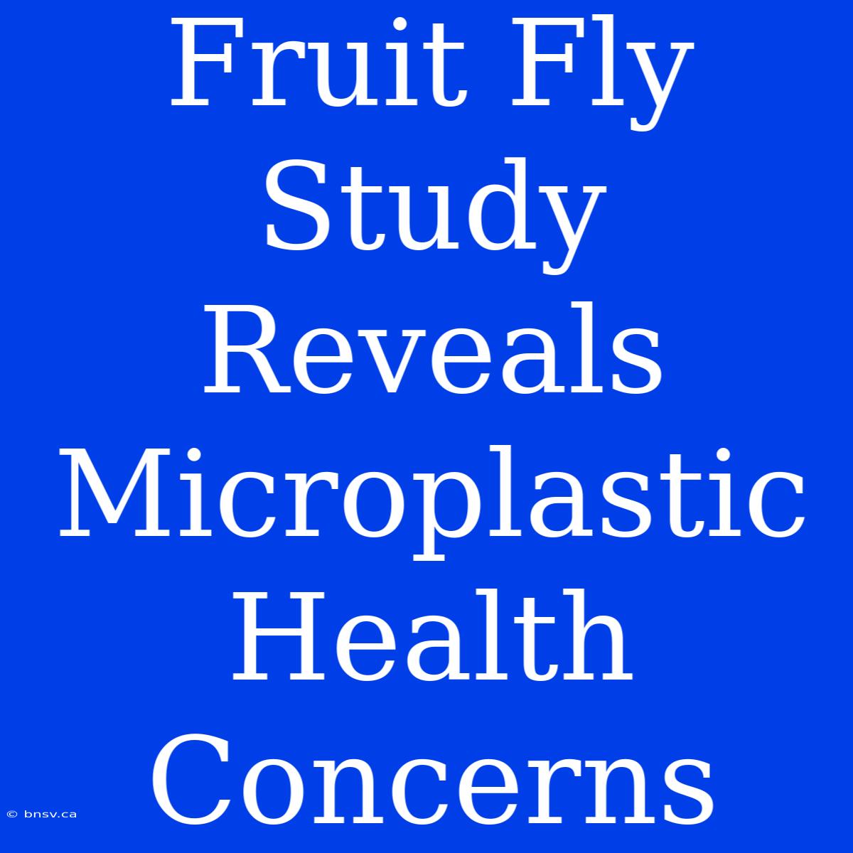 Fruit Fly Study Reveals Microplastic Health Concerns