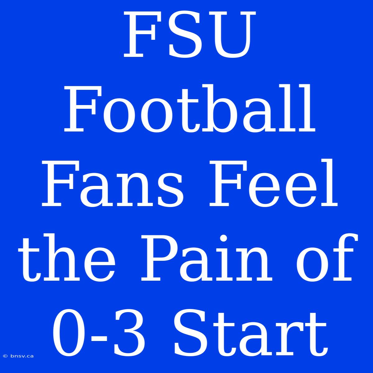 FSU Football Fans Feel The Pain Of 0-3 Start