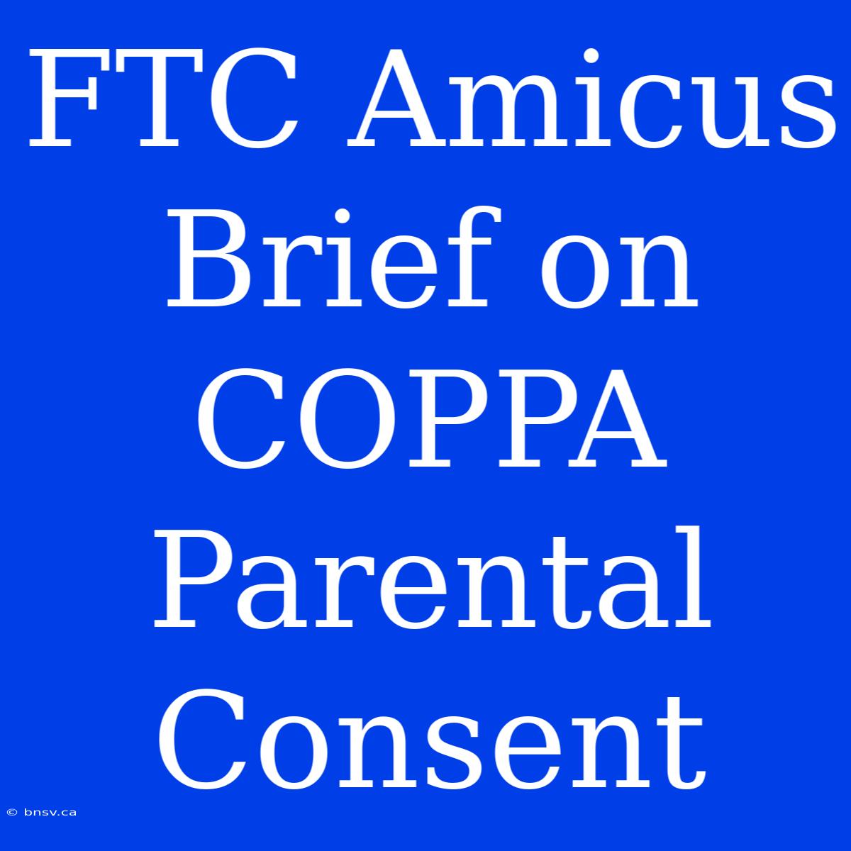 FTC Amicus Brief On COPPA Parental Consent