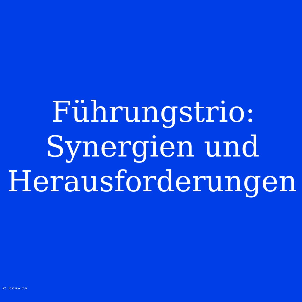 Führungstrio: Synergien Und Herausforderungen