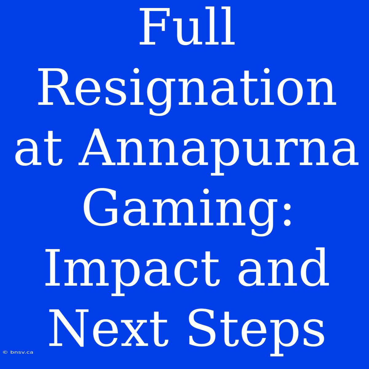 Full Resignation At Annapurna Gaming: Impact And Next Steps