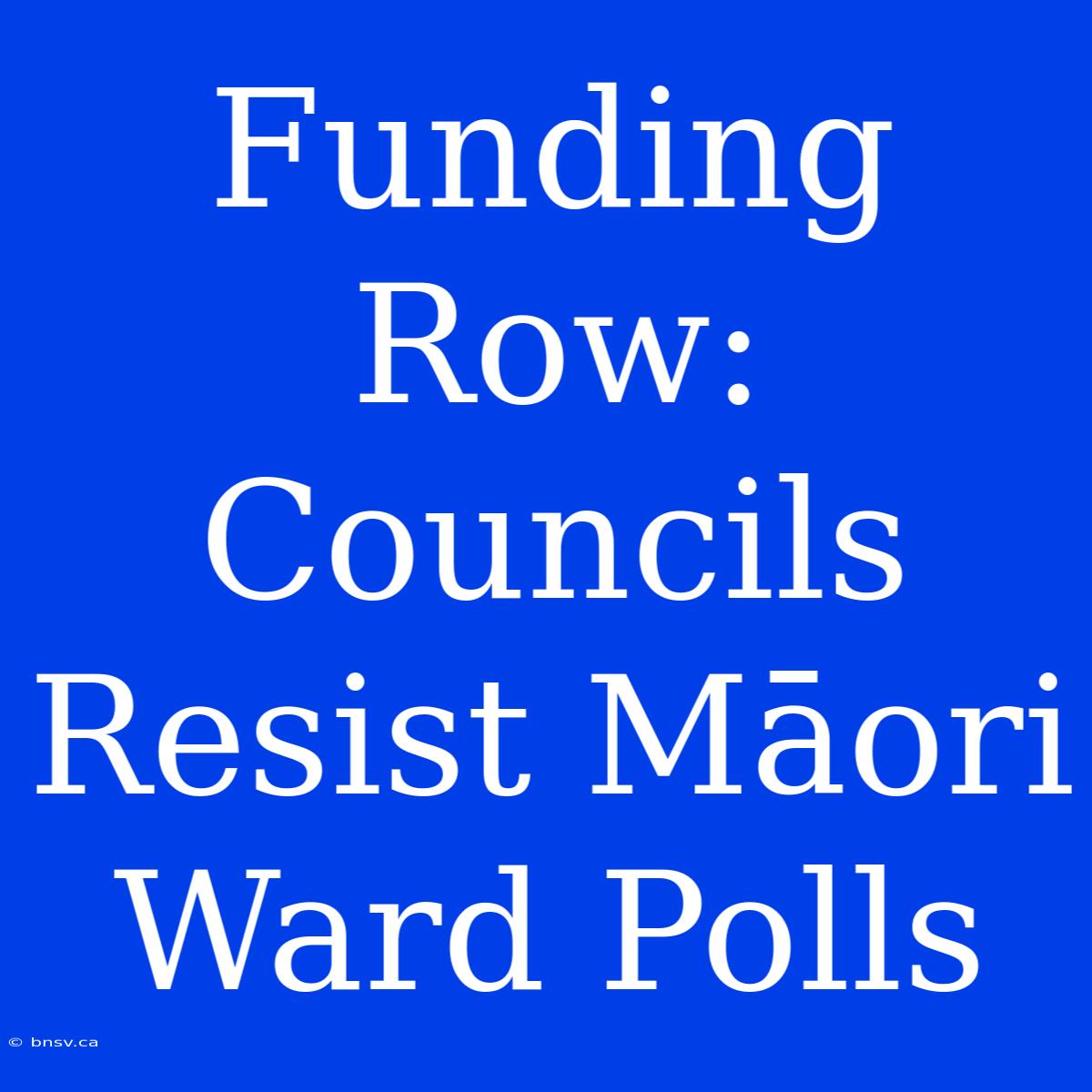 Funding Row: Councils Resist Māori Ward Polls