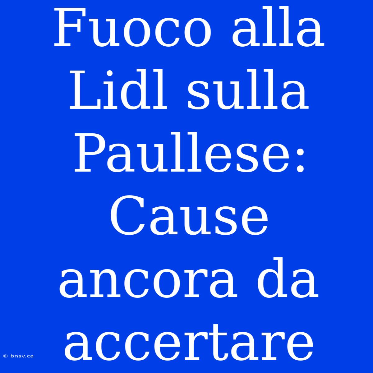 Fuoco Alla Lidl Sulla Paullese: Cause Ancora Da Accertare