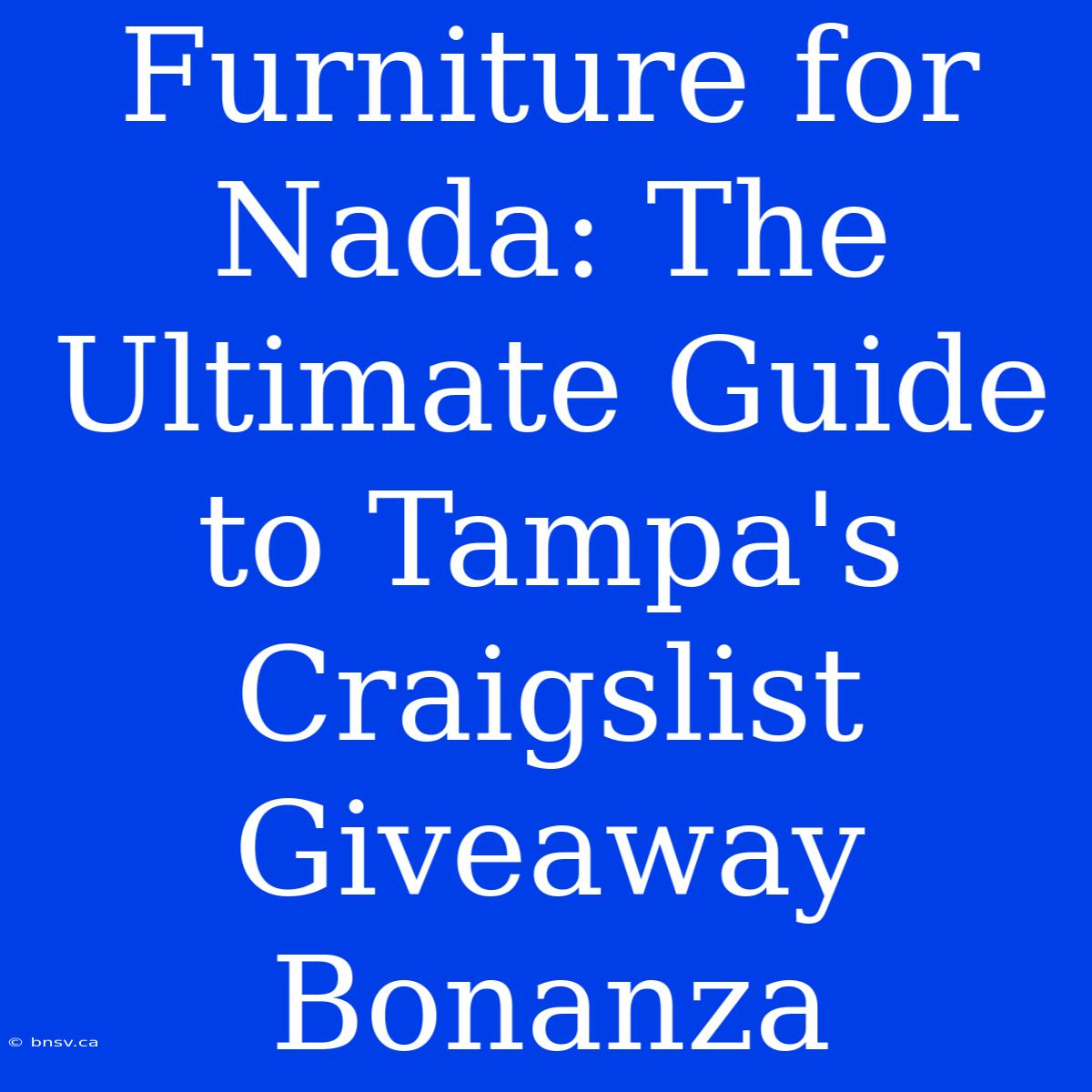 Furniture For Nada: The Ultimate Guide To Tampa's Craigslist Giveaway Bonanza