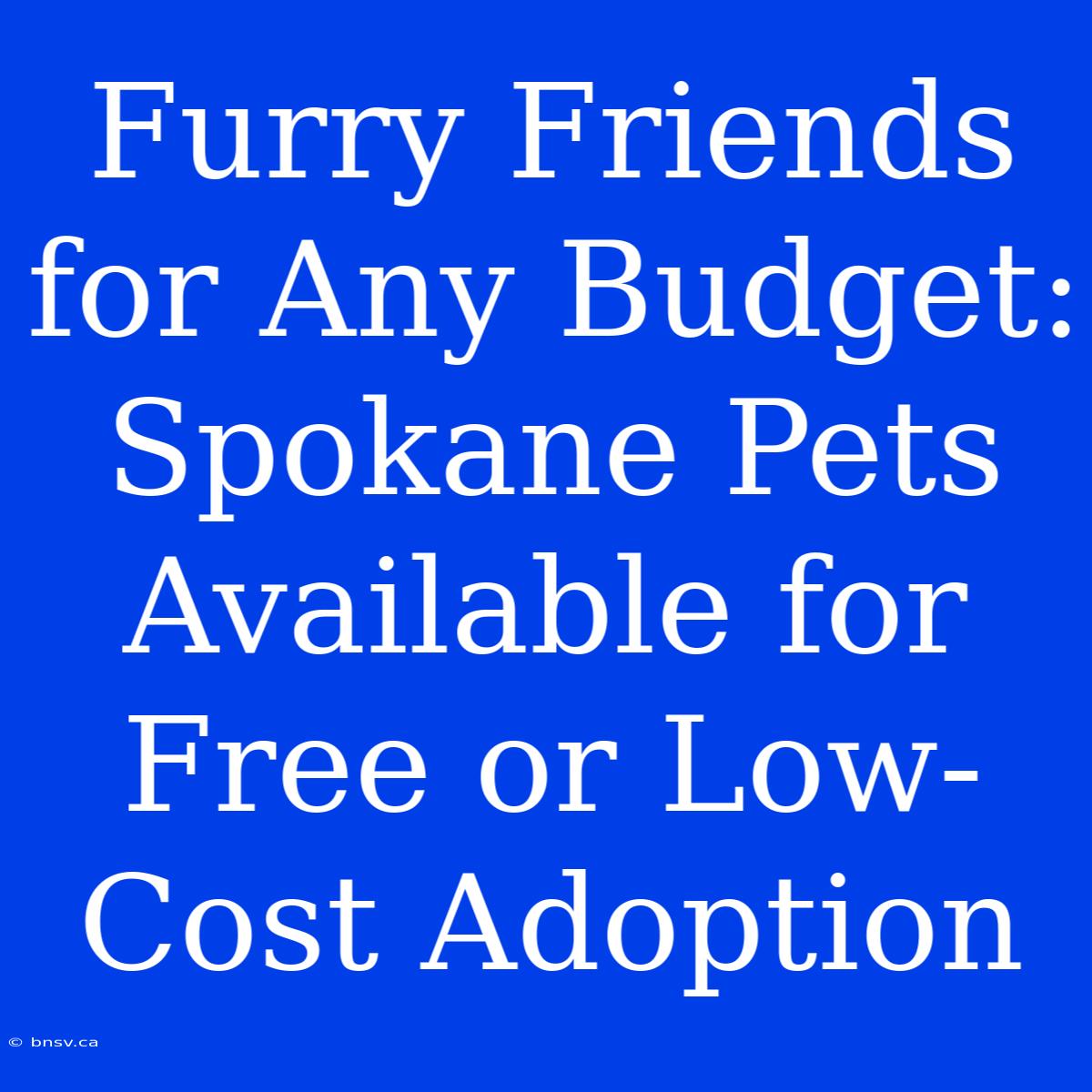 Furry Friends For Any Budget: Spokane Pets Available For Free Or Low-Cost Adoption