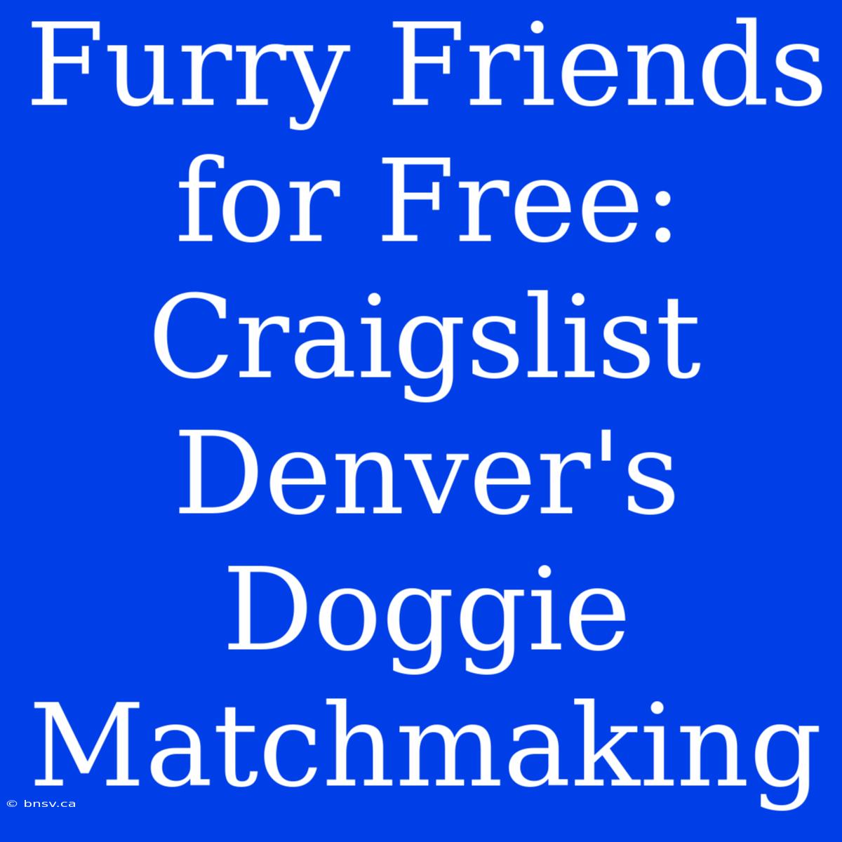 Furry Friends For Free: Craigslist Denver's Doggie Matchmaking