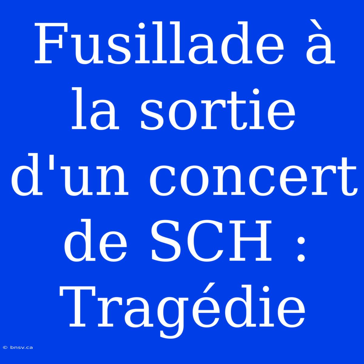 Fusillade À La Sortie D'un Concert De SCH : Tragédie