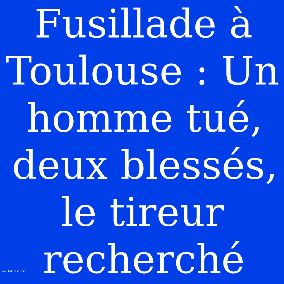 Fusillade À Toulouse : Un Homme Tué, Deux Blessés, Le Tireur Recherché