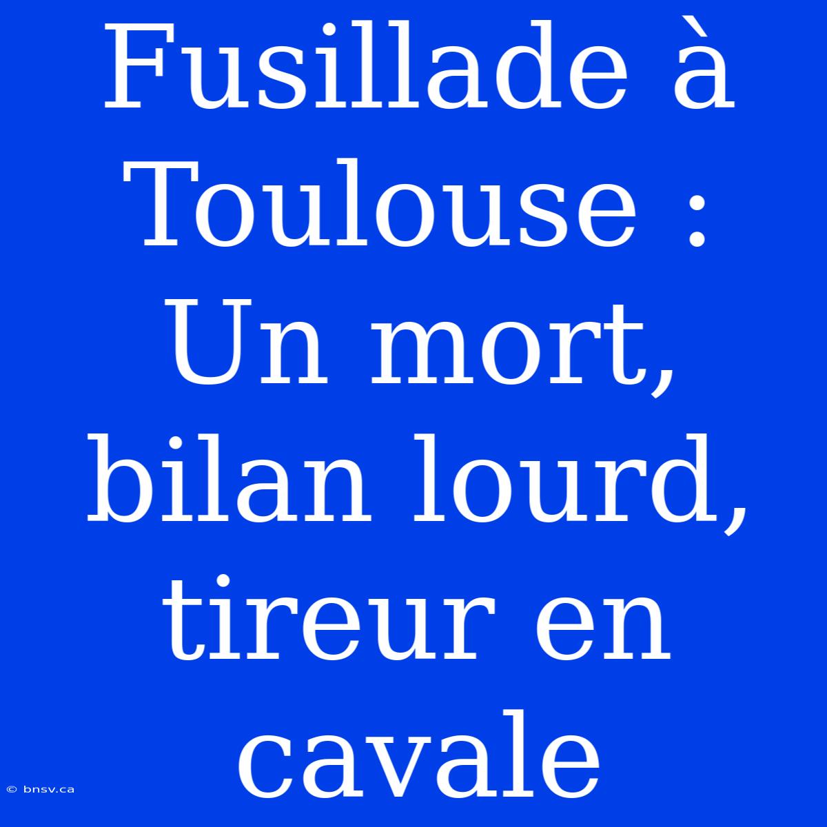 Fusillade À Toulouse : Un Mort, Bilan Lourd, Tireur En Cavale