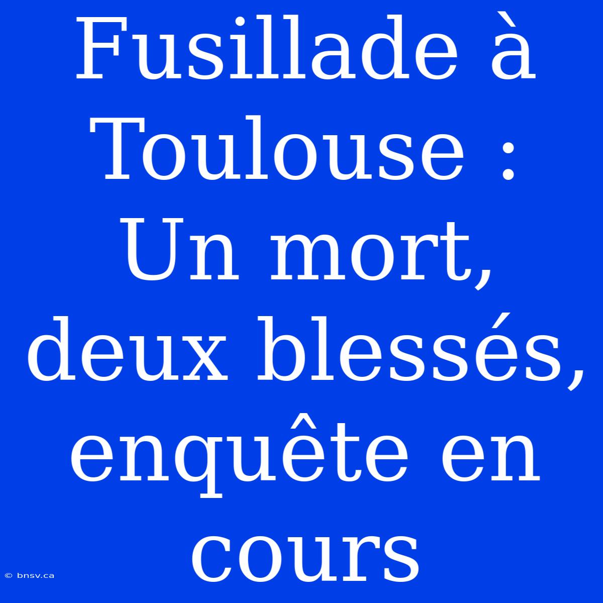 Fusillade À Toulouse : Un Mort, Deux Blessés, Enquête En Cours