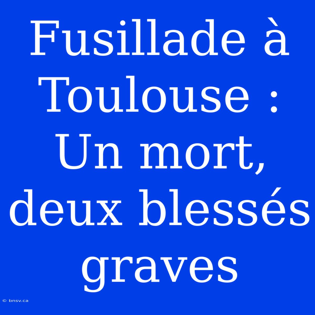 Fusillade À Toulouse : Un Mort, Deux Blessés Graves