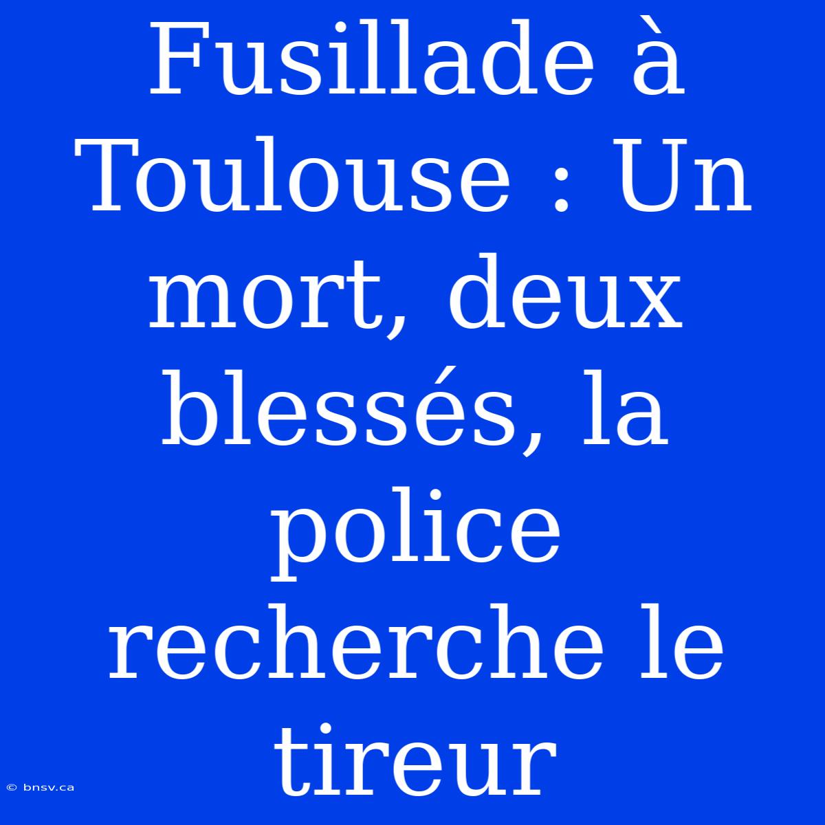 Fusillade À Toulouse : Un Mort, Deux Blessés, La Police Recherche Le Tireur