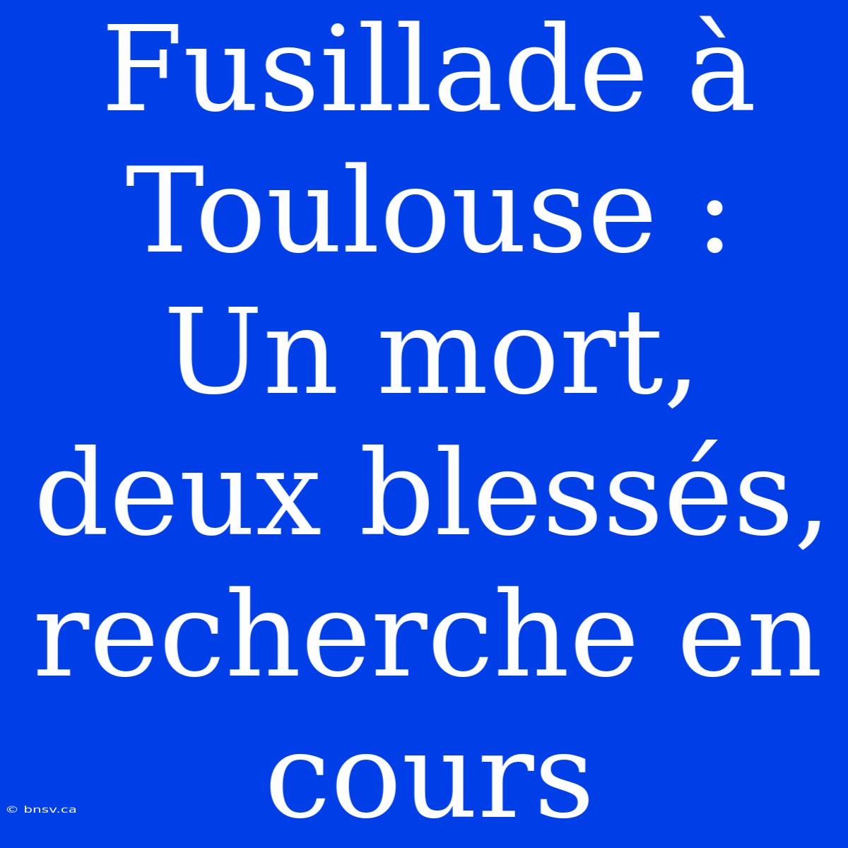 Fusillade À Toulouse : Un Mort, Deux Blessés, Recherche En Cours