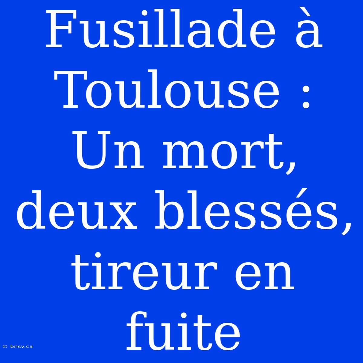 Fusillade À Toulouse : Un Mort, Deux Blessés, Tireur En Fuite