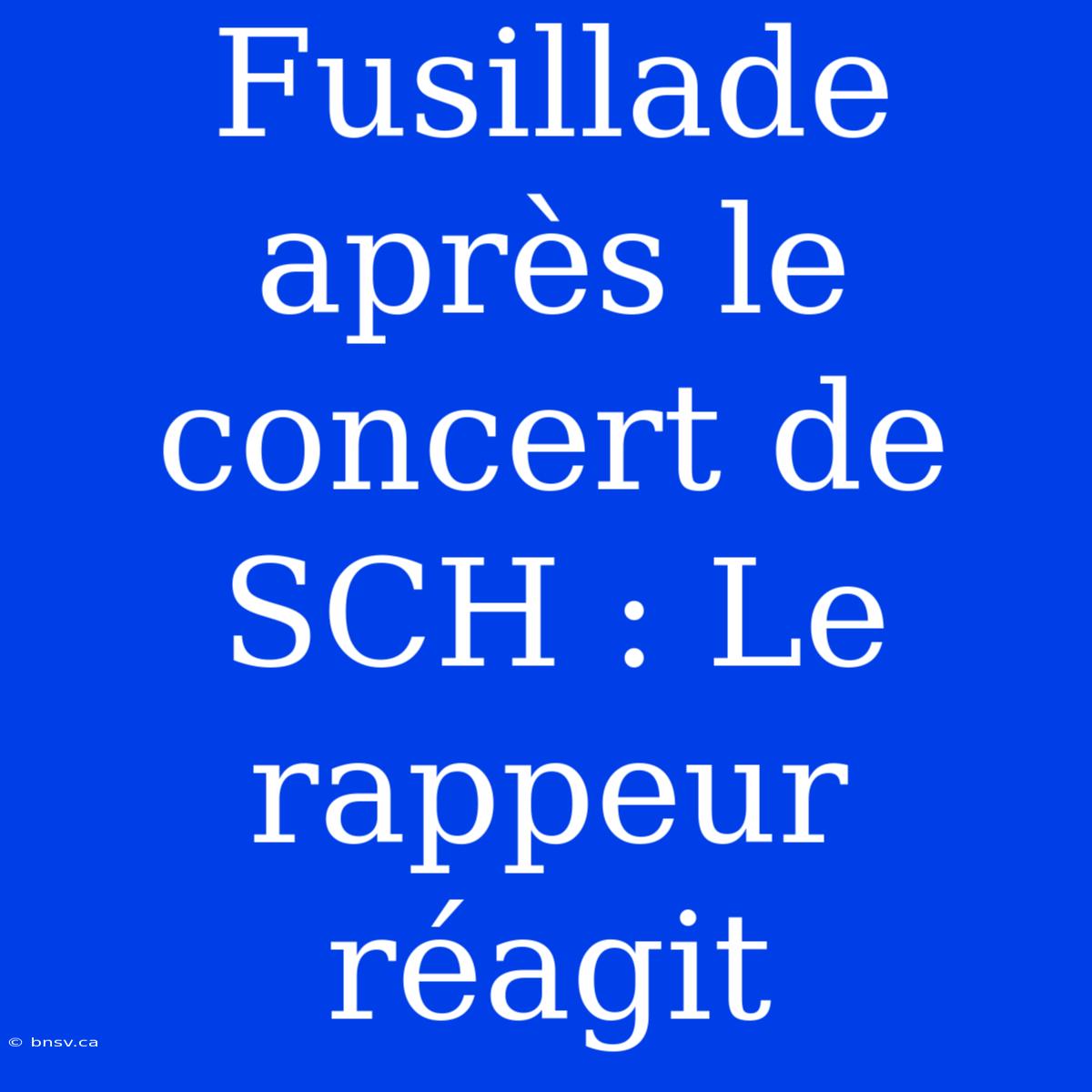 Fusillade Après Le Concert De SCH : Le Rappeur Réagit