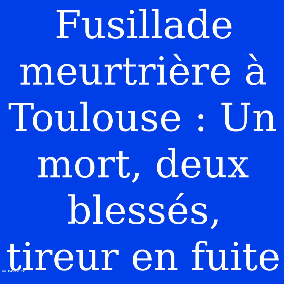 Fusillade Meurtrière À Toulouse : Un Mort, Deux Blessés, Tireur En Fuite