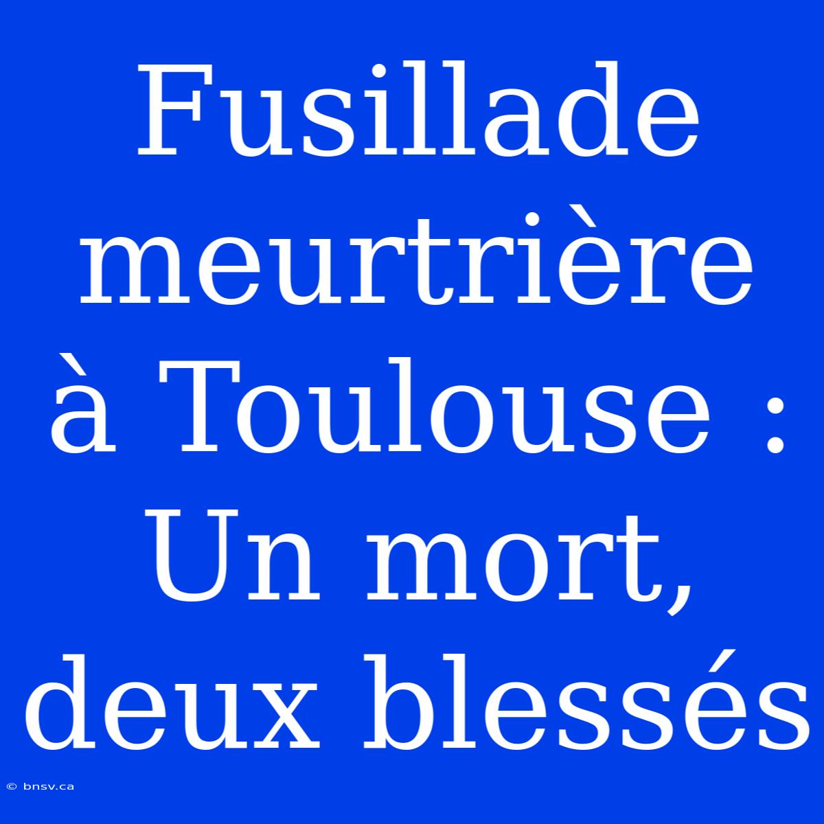 Fusillade Meurtrière À Toulouse : Un Mort, Deux Blessés