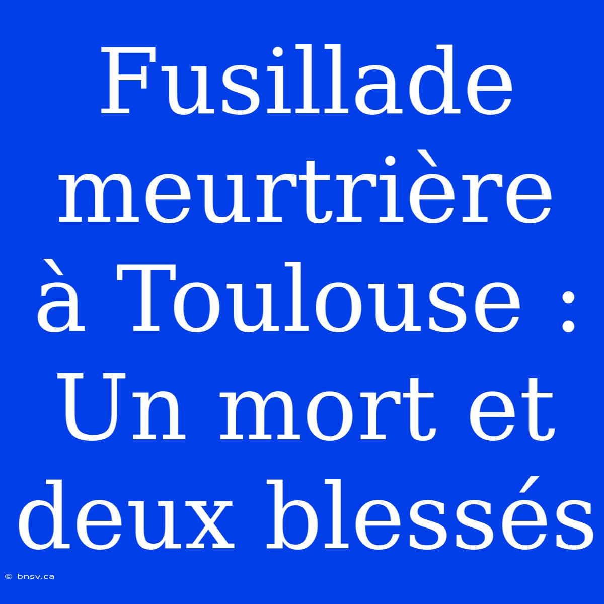 Fusillade Meurtrière À Toulouse : Un Mort Et Deux Blessés