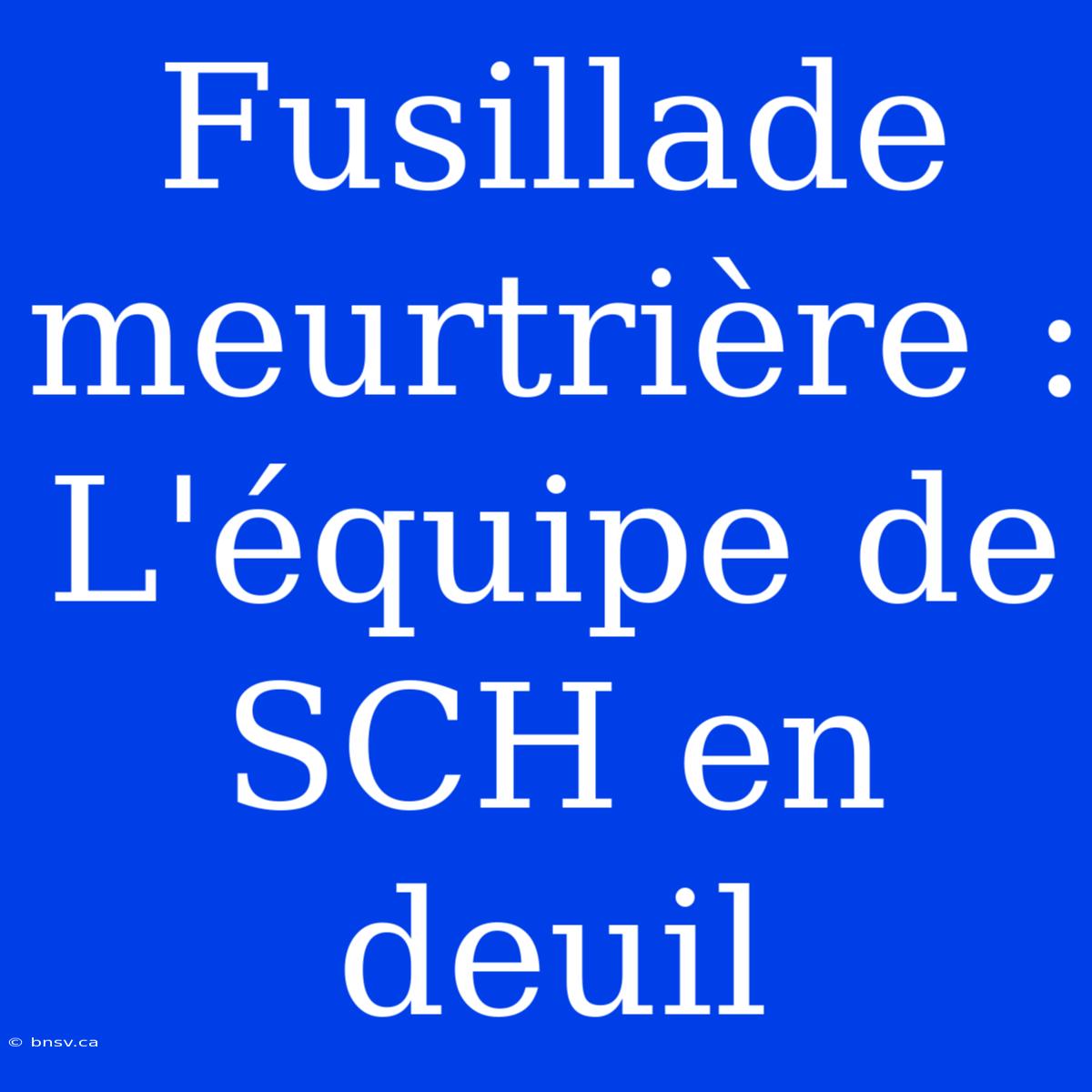 Fusillade Meurtrière : L'équipe De SCH En Deuil