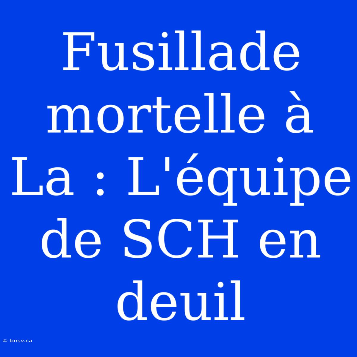 Fusillade Mortelle À La : L'équipe De SCH En Deuil