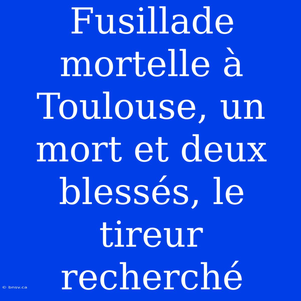 Fusillade Mortelle À Toulouse, Un Mort Et Deux Blessés, Le Tireur Recherché