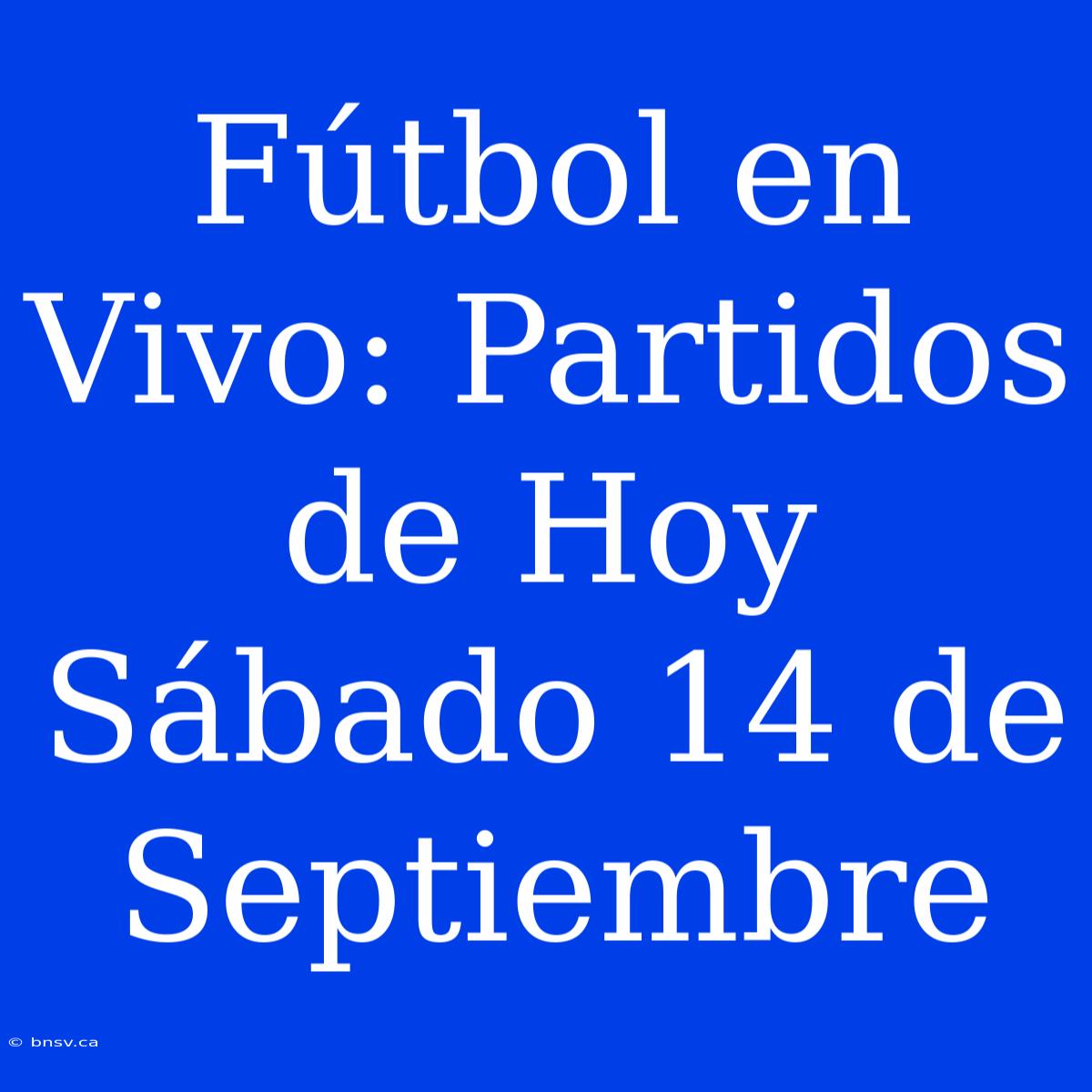 Fútbol En Vivo: Partidos De Hoy Sábado 14 De Septiembre