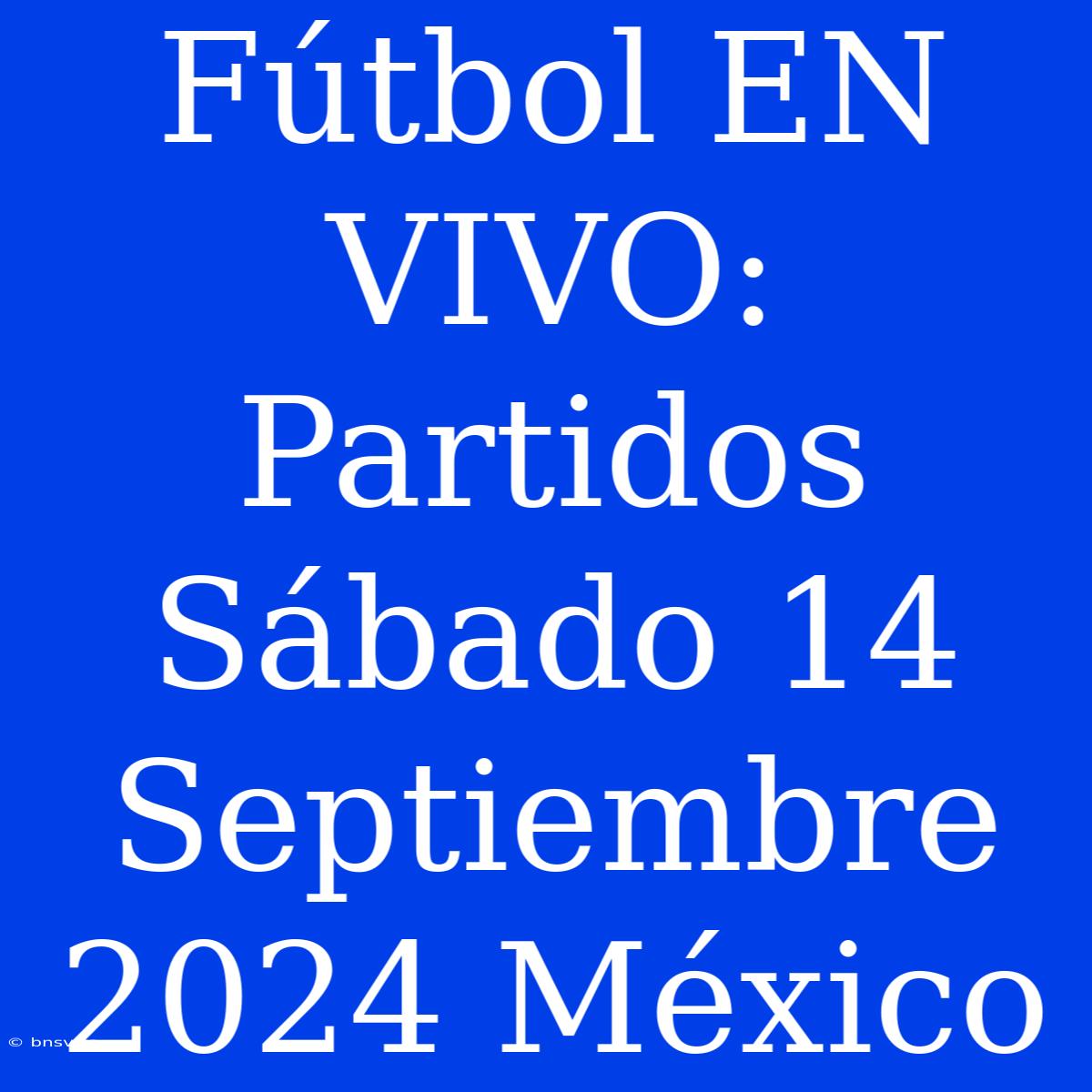 Fútbol EN VIVO: Partidos Sábado 14 Septiembre 2024 México