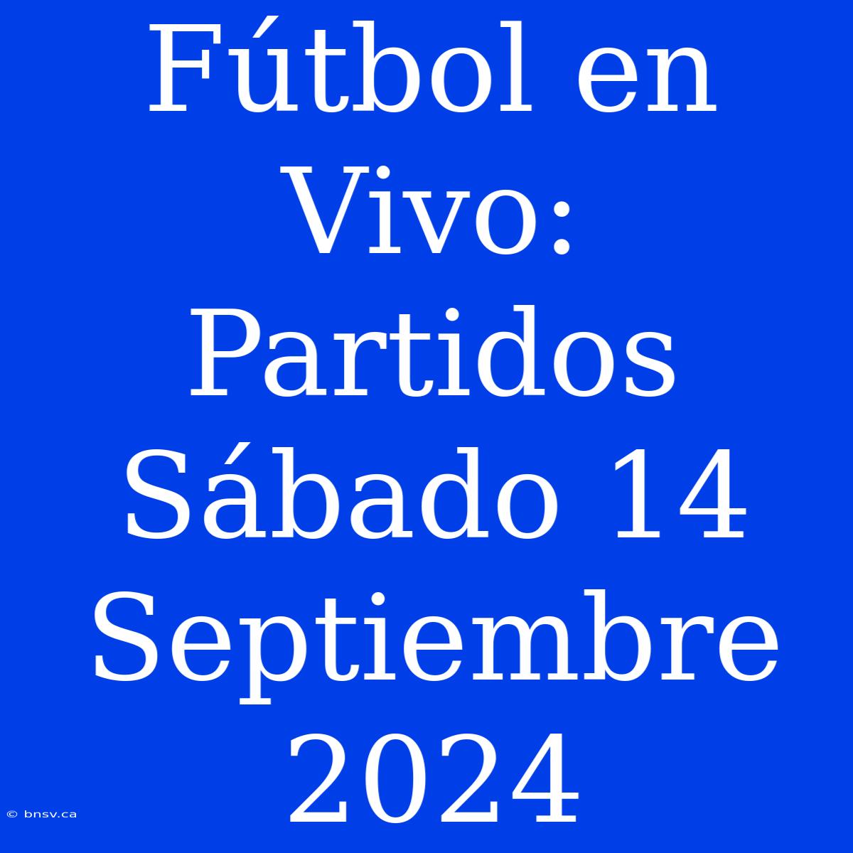 Fútbol En Vivo: Partidos Sábado 14 Septiembre 2024