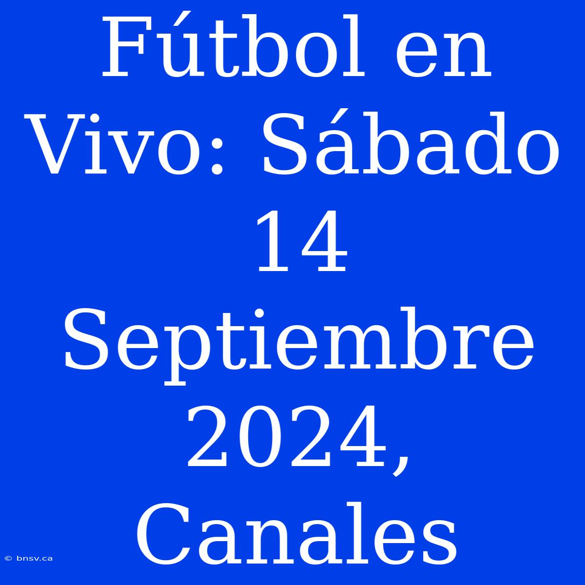 Fútbol En Vivo: Sábado 14 Septiembre 2024, Canales