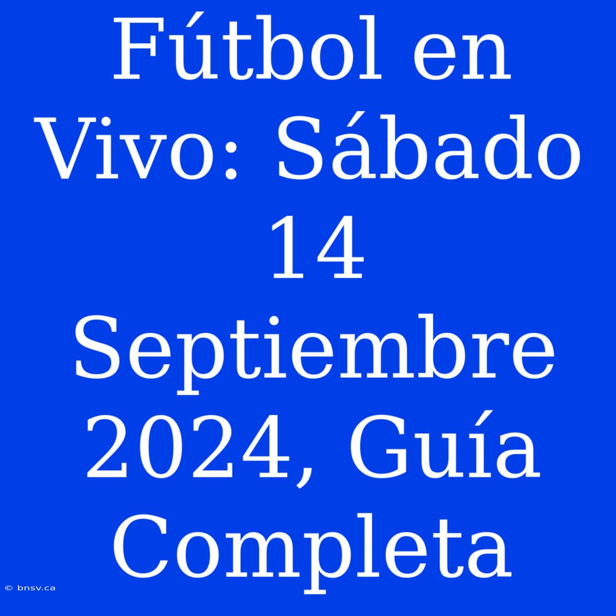 Fútbol En Vivo: Sábado 14 Septiembre 2024, Guía Completa