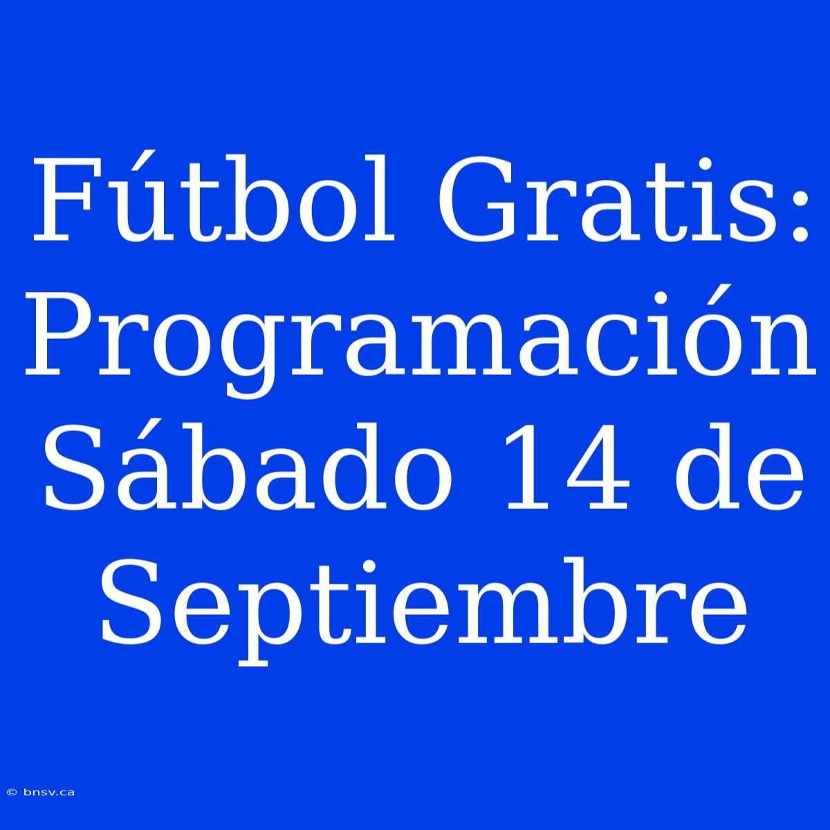 Fútbol Gratis: Programación Sábado 14 De Septiembre