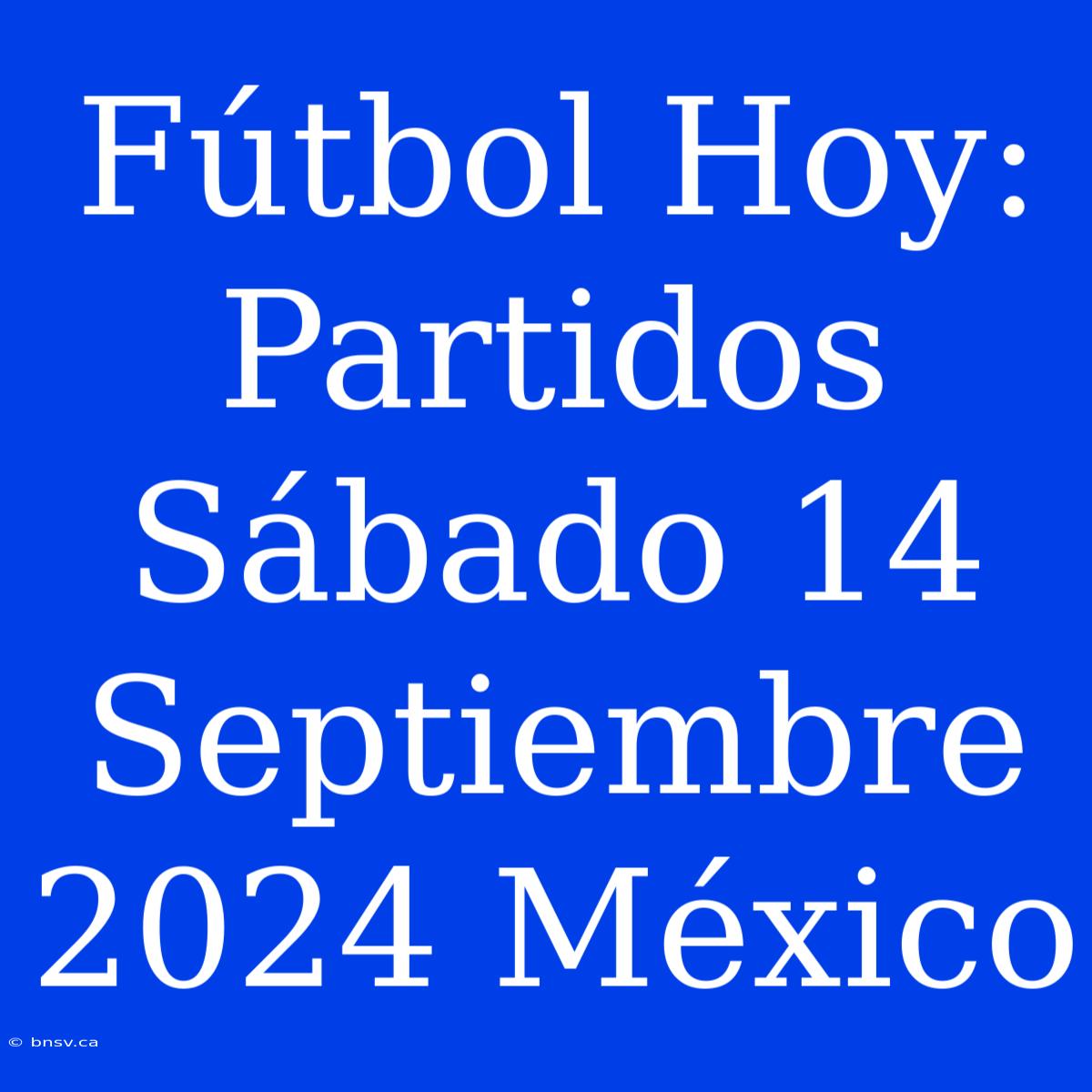 Fútbol Hoy: Partidos Sábado 14 Septiembre 2024 México