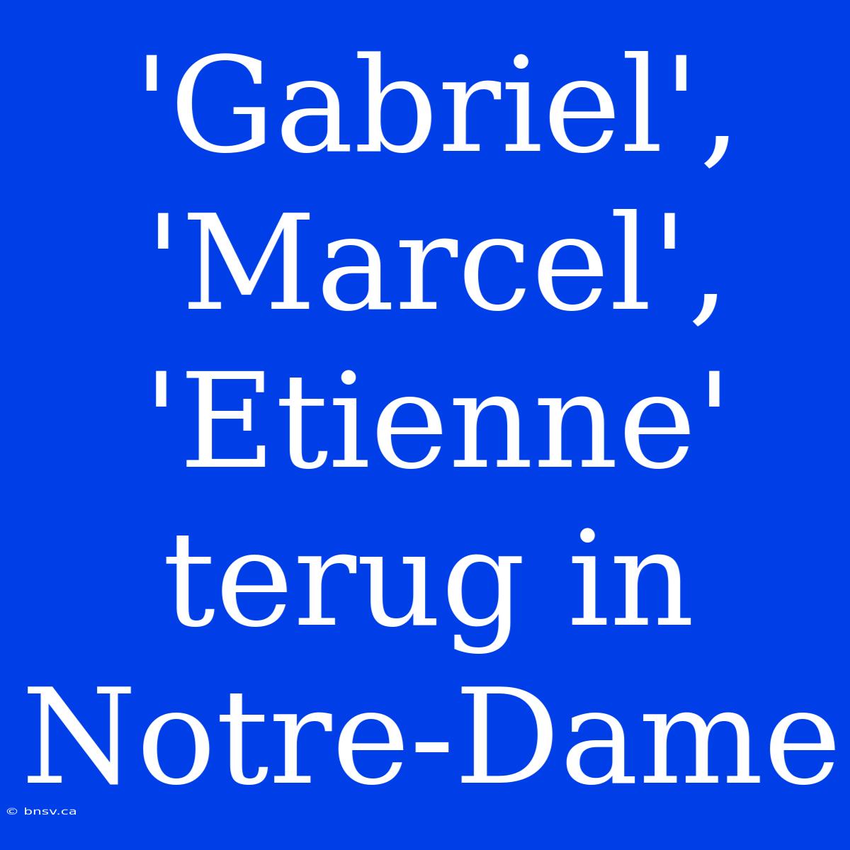 'Gabriel', 'Marcel', 'Etienne' Terug In Notre-Dame