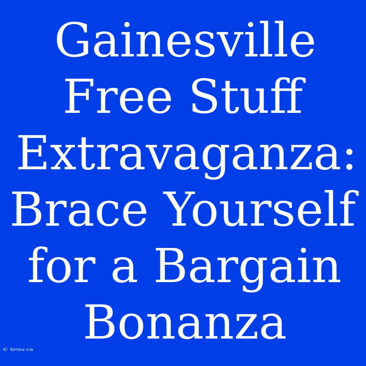 Gainesville Free Stuff Extravaganza: Brace Yourself For A Bargain Bonanza