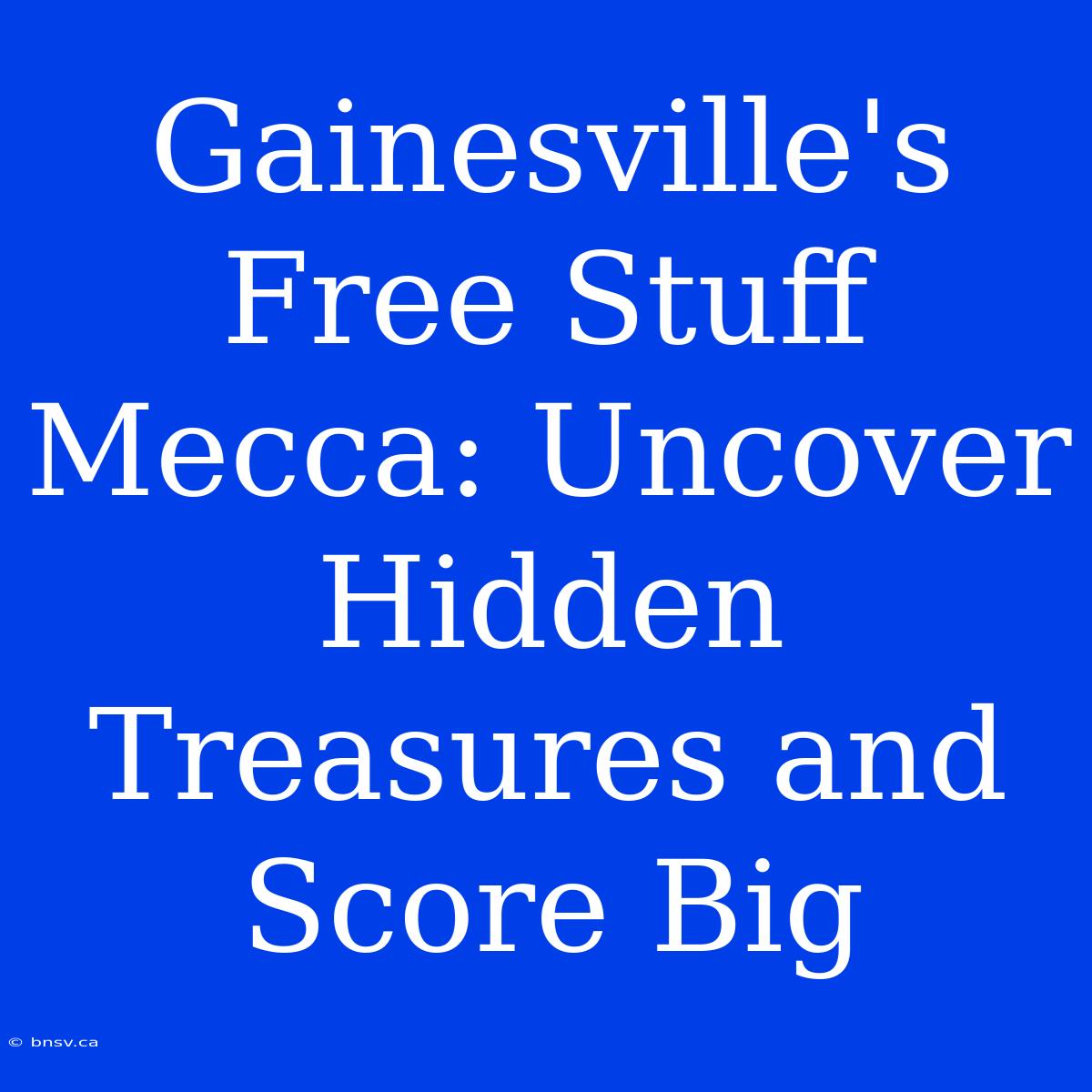 Gainesville's Free Stuff Mecca: Uncover Hidden Treasures And Score Big