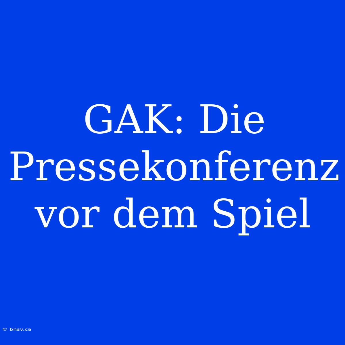 GAK: Die Pressekonferenz Vor Dem Spiel