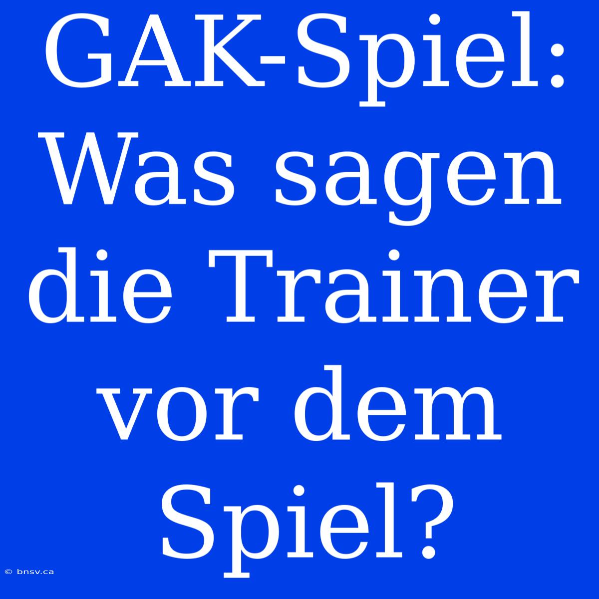 GAK-Spiel: Was Sagen Die Trainer Vor Dem Spiel?