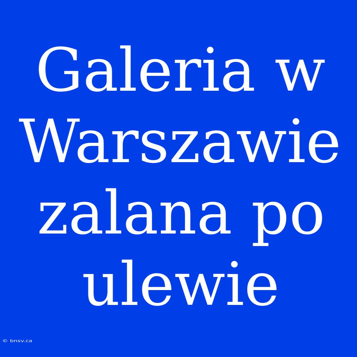 Galeria W Warszawie Zalana Po Ulewie