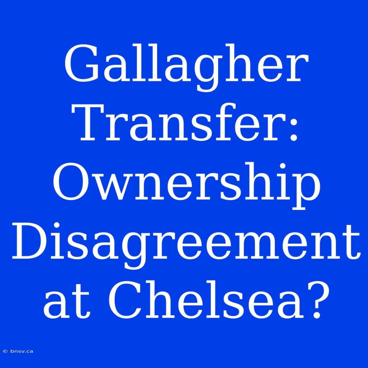 Gallagher Transfer: Ownership Disagreement At Chelsea?