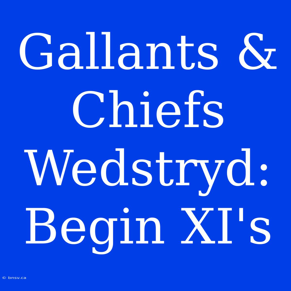 Gallants & Chiefs Wedstryd: Begin XI's