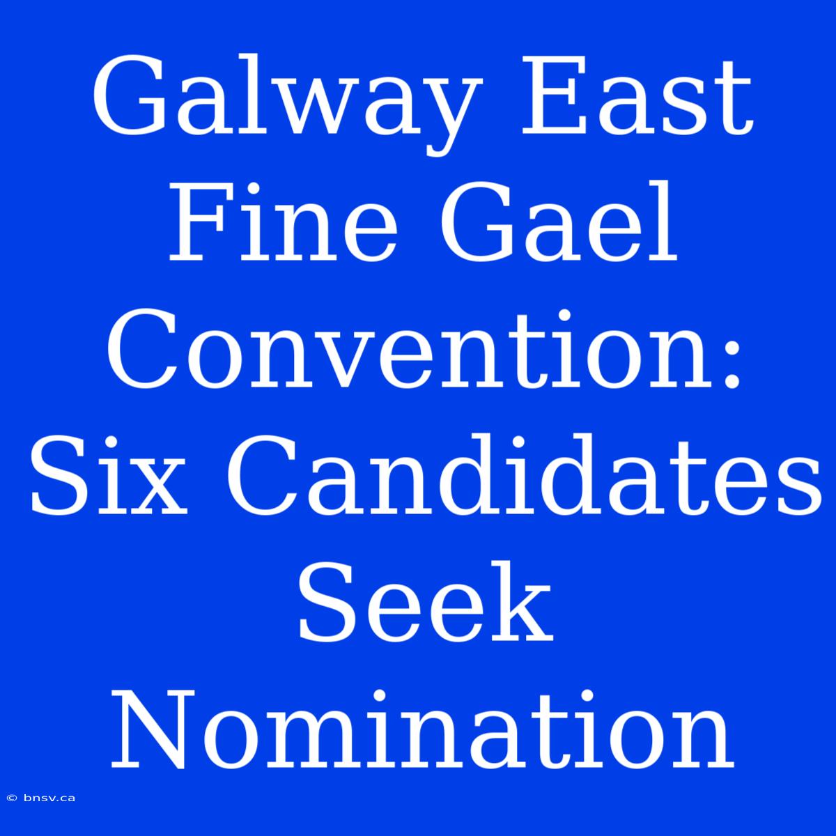 Galway East Fine Gael Convention:  Six Candidates Seek Nomination